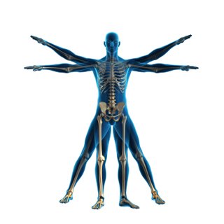 Auto Accident Chiropractor Salem